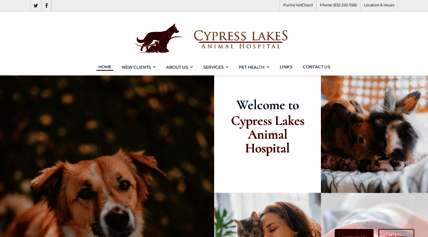 cypresslakesanimal.com