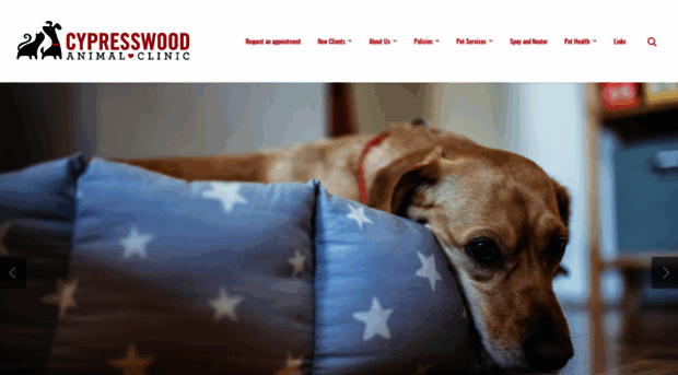 cypresswoodanimalclinic.com