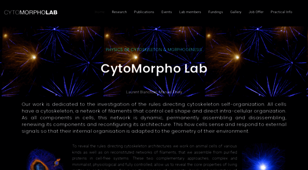 cytomorpholab.com