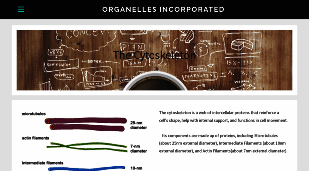 cytoskeletonscentriolesandcellwalls.weebly.com