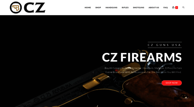 czgunsusa.com