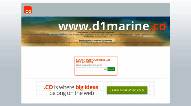 d1marine.co