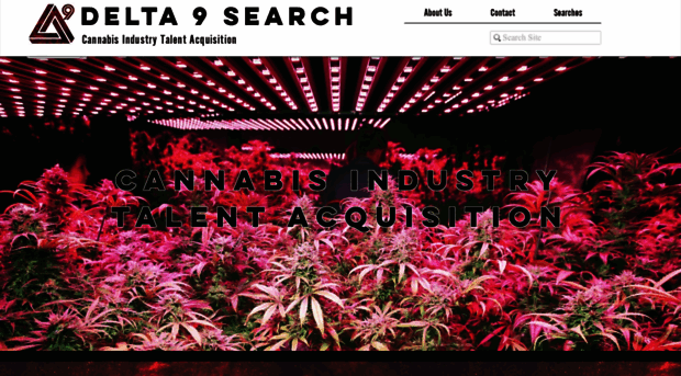 d9search.com