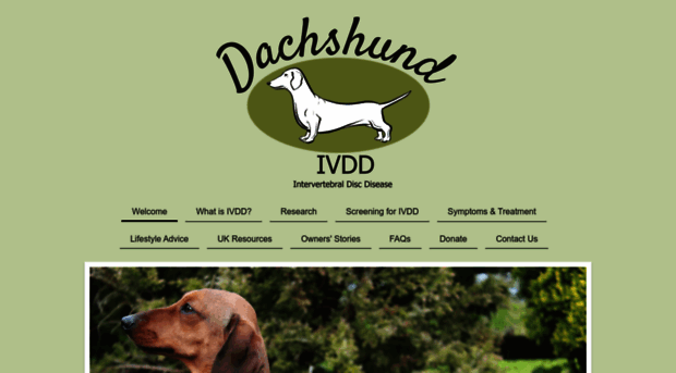 dachshund-ivdd.uk