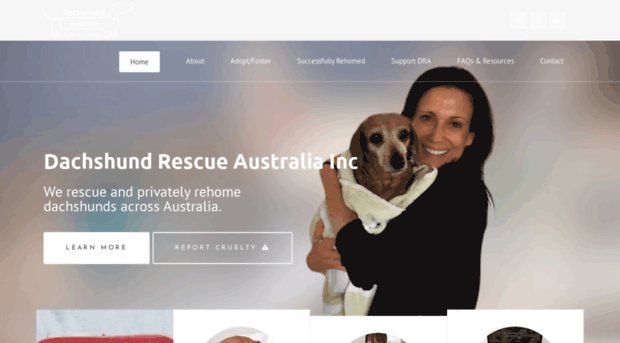 dachshundrescueaustralia.com.au