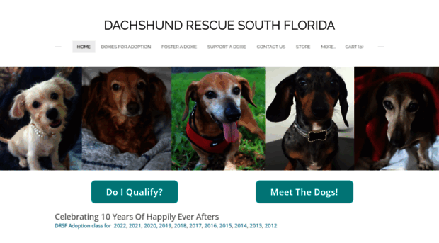 dachshundrescuesouthflorida.com