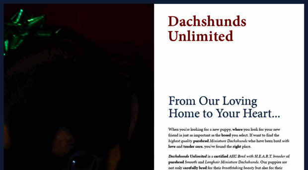 dachshunds-unlimited.com