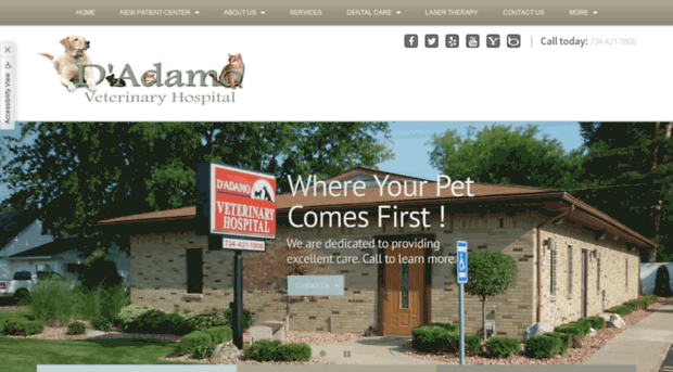 dadamoveterinary.com