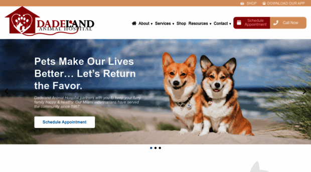 dadelandanimalhospital.com