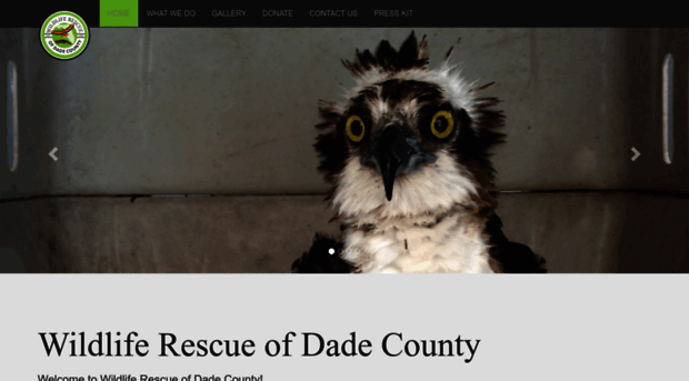 dadewildliferescue.com