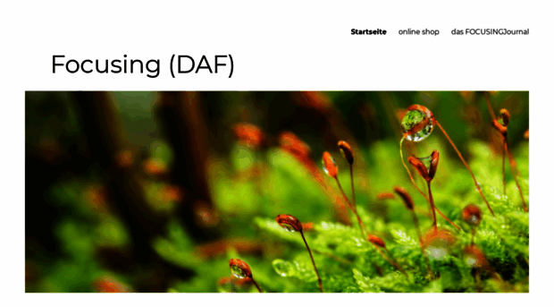 daf-focusing.de