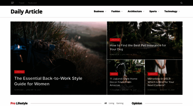 dailyarticle.net