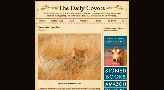 dailycoyote.com