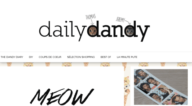 dailydandy.fr