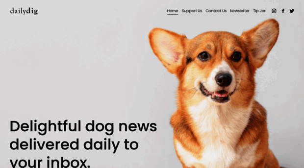 dailydigdogs.com