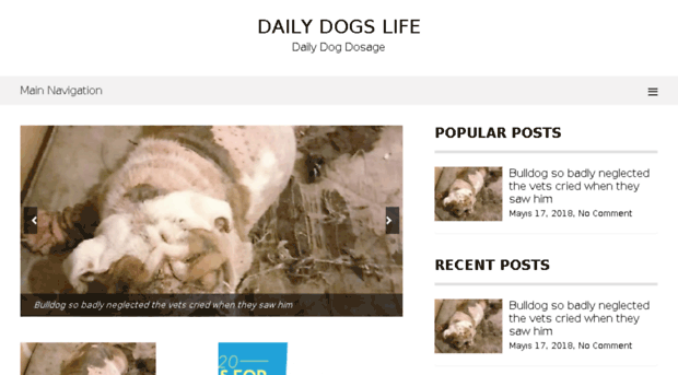 dailydogslife.com
