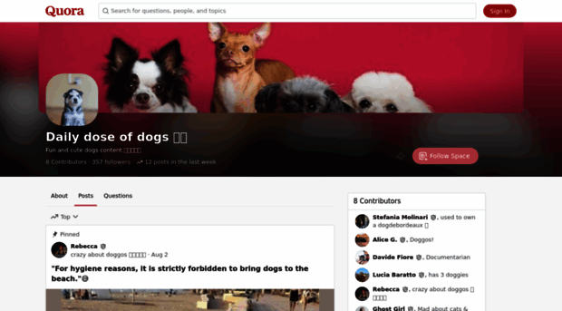 dailydoseofdogs.quora.com