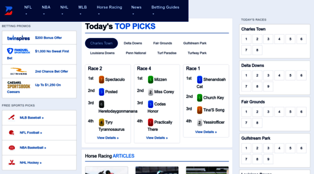 dailyhorsepicks.com