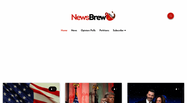 dailynewsbrew.org