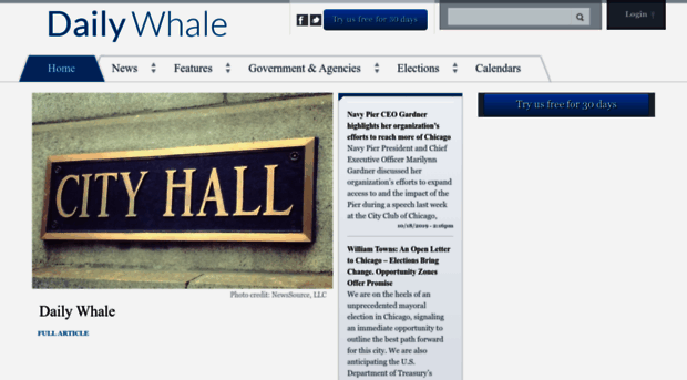 dailywhale.com