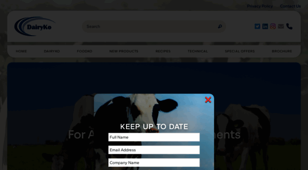 dairyko.co.uk