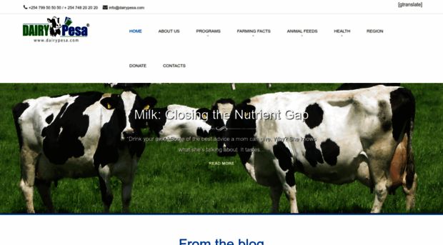 dairypesa.com