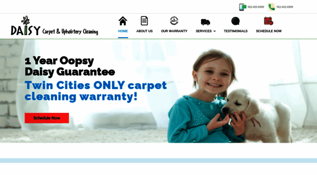 daisycarpetcleaning.com