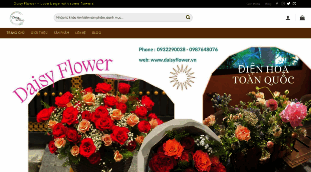 daisyflower.vn