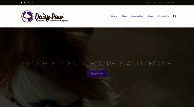 daisypaw.com