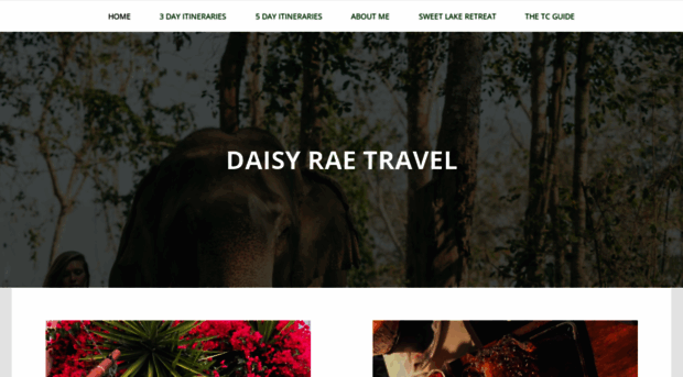 daisyraetravel.com