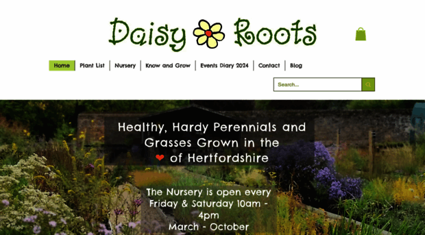 daisyroots.com