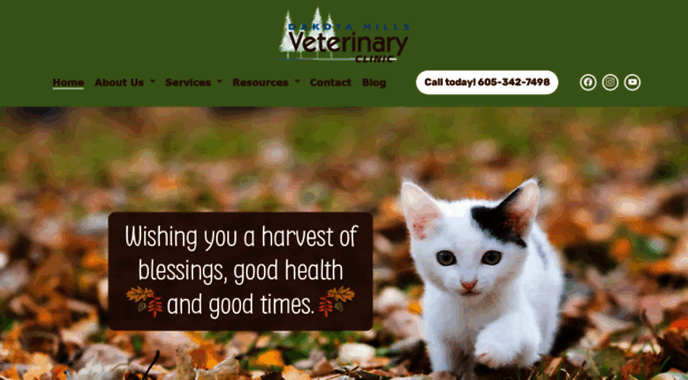 dakotahillsveterinary.com