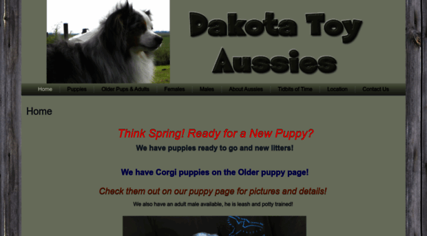 dakotatoyaussies.com