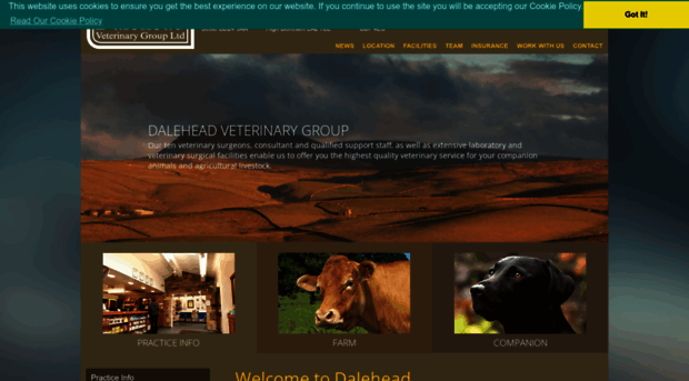 daleheadvetgroup.co.uk