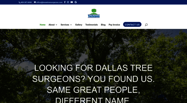 dallastreesurgeons.com