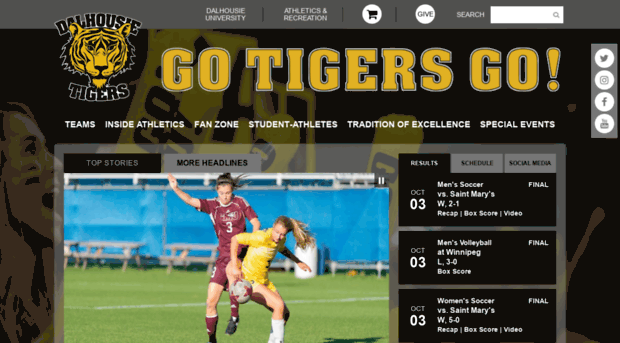 daltigers.ca