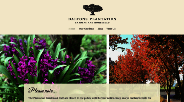 daltonsplantation.co.nz