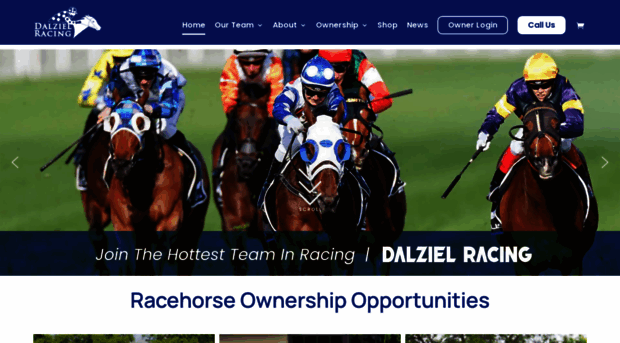 dalzielracing.com