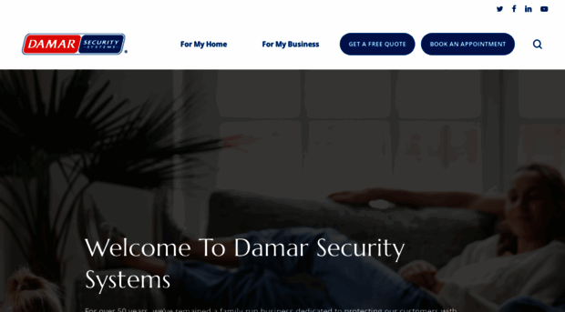 damarsecuritysystems.com