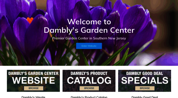 damblys.center