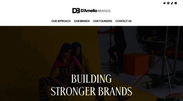 dameliobrands.com