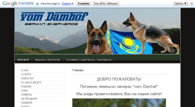 damhof.com