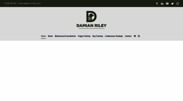 damianriley.com