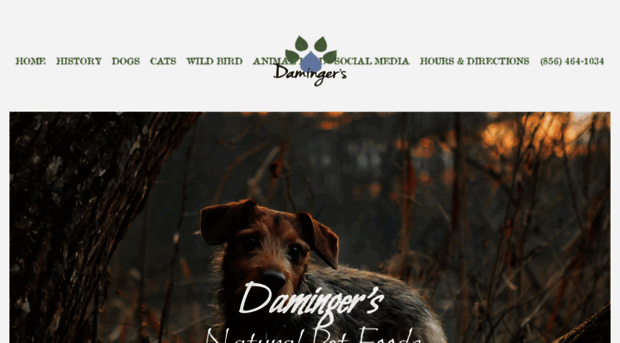 damingersnaturalpetfoods.com