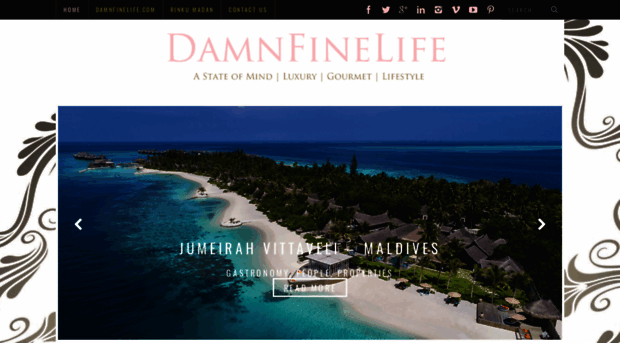 damnfinelife.com