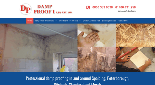 dampproof1ltd.com