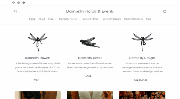 damselflydesigns.net