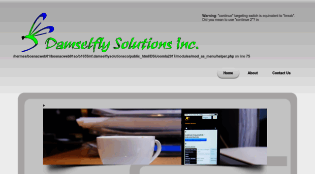 damselflysolutions.com