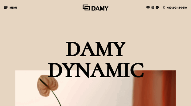 damychem.com