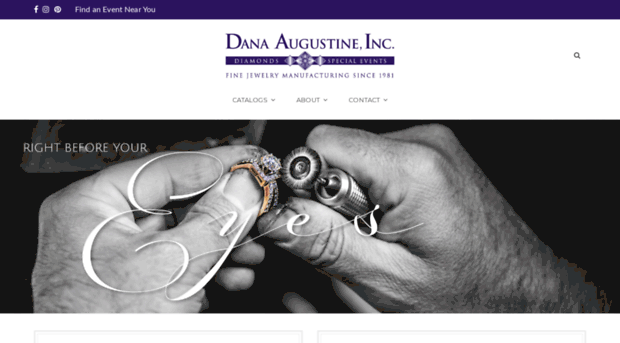 danaaugustineinc.com